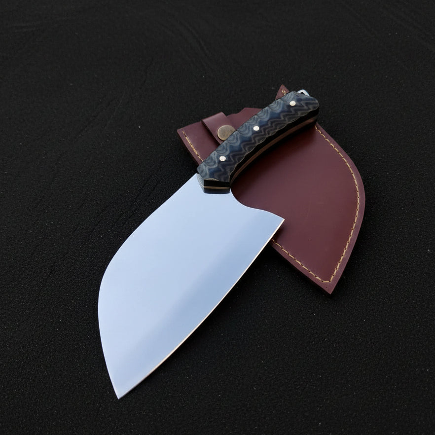 sef bicagi almazan model